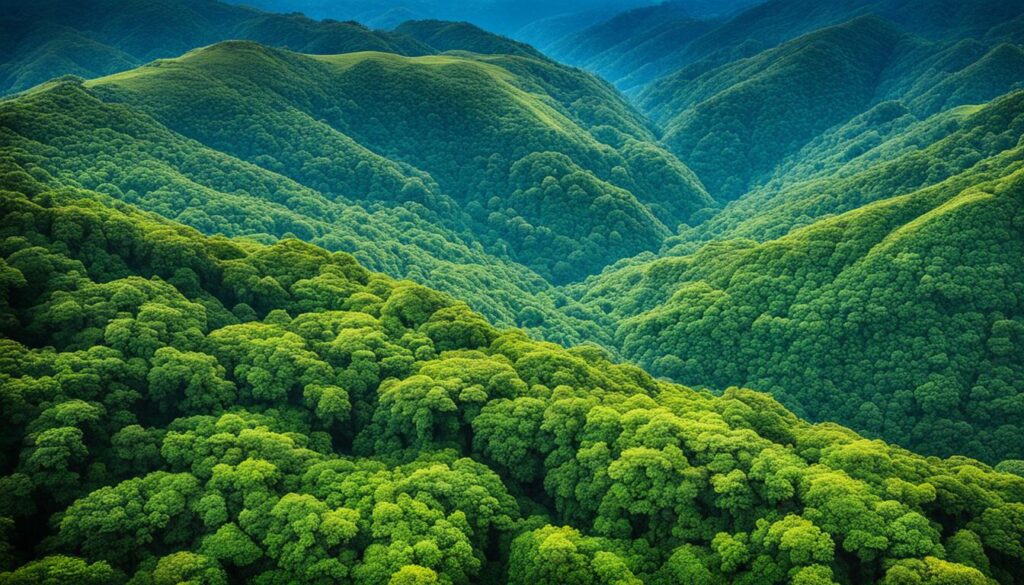 Monteverde Cloud Forest